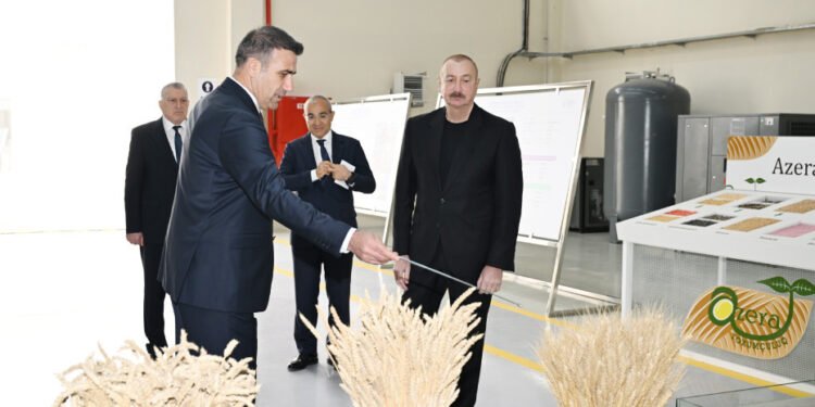 Prezident Sabirabadda toxum istehsalı müəssisəsinin fəaliyyəti ilə tanış olub - FOTOLAR