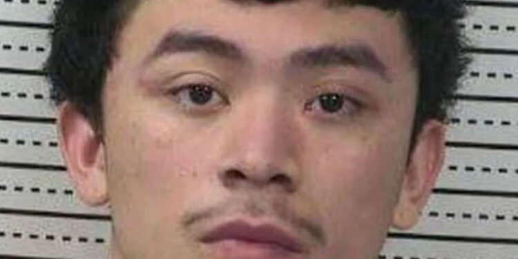 Yatan anasını 11 bıçaq zərbəsi ilə qətlə yetirdi