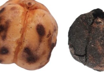 Qədimdən bu günə qədər gələn Türkiyə çörək irsi – FOTOLAR