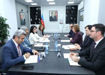 Bahar Muradova və BMT-nin Qadınlar üzrə Agentliyinin nümayəndəsi arasında əməkdaşlıq imkanları müzakirə edilib