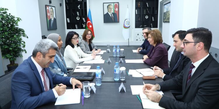 Bahar Muradova BMT-nin Qadınlar üzrə Agentliyinin nümayəndəsi ilə görüşüb