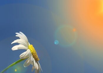 Sabahın havası açıqlandı – 24 dərəcə isti olacaq