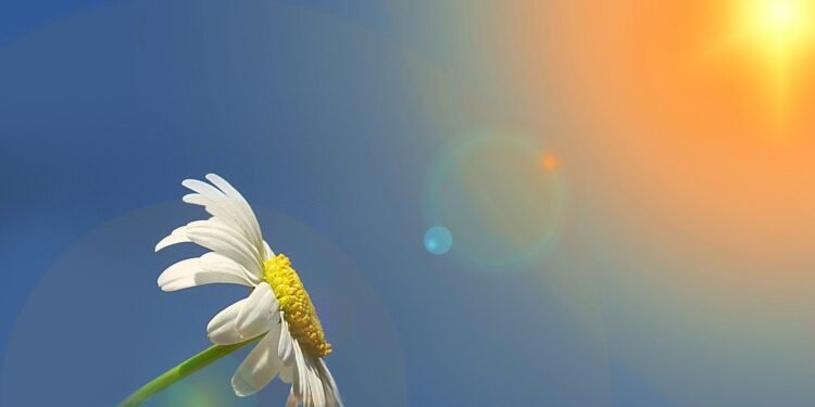 Sabah 24 dərəcə isti olacaq