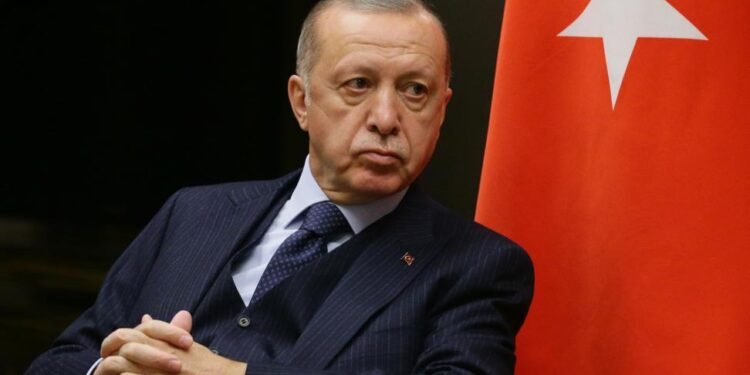 Ərdoğan: Türkiyə Ukraynadakı münaqişənin həlli üçün səylərə kömək edir