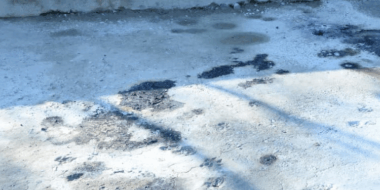 Ofisiantların öldüyü yerdən görüntülər - VİDEO