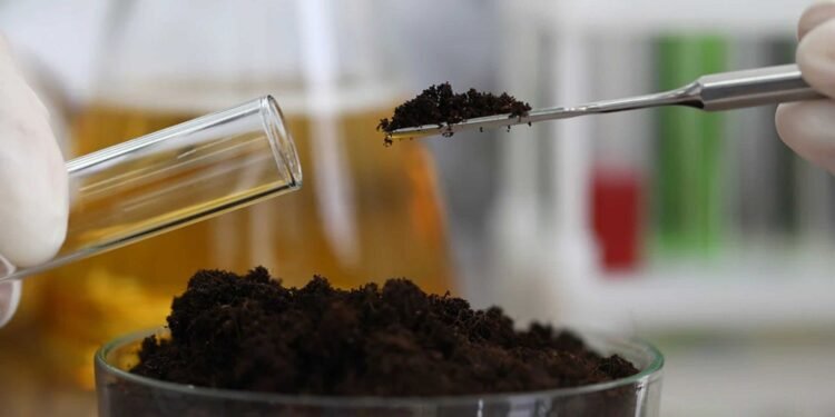 Torpaq analizi nə üçün vacibdir? - VİDEO İZAH