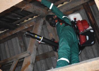 AXA əməkdaşları qəhvəyi mərmər bağacığına qarşı 28 rayonda monitorinqlər aparıb