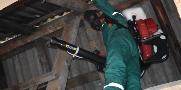 AXA əməkdaşları qəhvəyi mərmər bağacığına qarşı 28 rayonda monitorinqlər aparıb