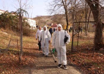“Daşkəsən və Göygöl rayonlarında aqrar inkişafa dəstək” layihəsi uğurla davam etdirilir