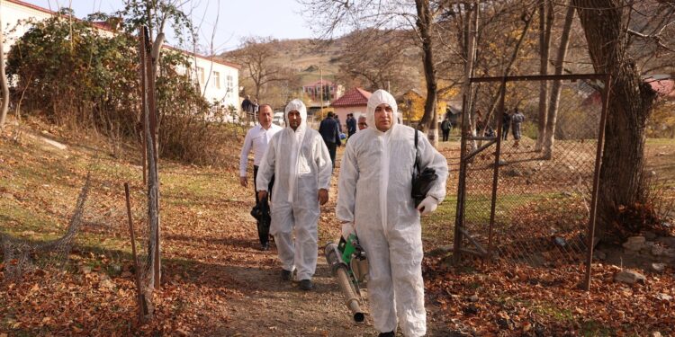“Daşkəsən və Göygöl rayonlarında aqrar inkişafa dəstək” layihəsi uğurla davam etdirilir