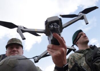 Litva qaçaqmalçılıqla bağlı NATO-dan bunu xahiş etdi