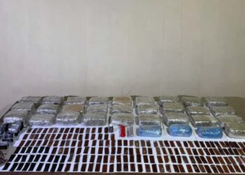 Külli miqdarda narkotik vasitənin keçirilməsinin qarşını alındı