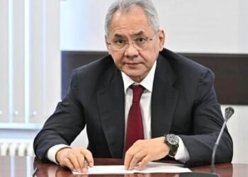 Şoyqu: Cənubi Qafqazdakı vəziyyət bizim daimi diqqətimizi tələb edir