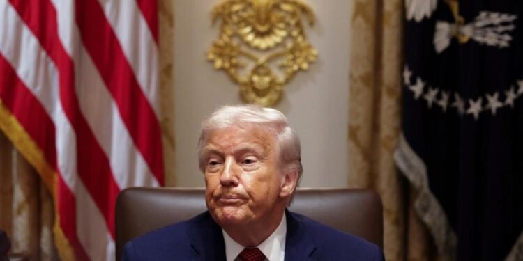 "Ukraynada seçkilər, Rusiyanın mövqeyi və Avropanın qeyri-stabilliyi... - Trampın müsahibəsindən geri qalanlar