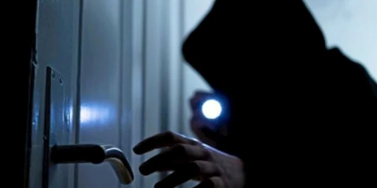 Evlərdən elektrik naqili və velosiped oğurlayanlar saxlanıldı