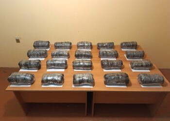 Külli miqdarda narkotik vasitənin ölkəyə keçirilməsinin qarşısı alınıb