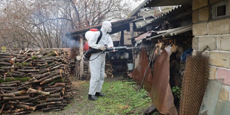 Mexaniki mübarizə tədbirləri nəticəsində 150 mindən çox qəhvəyi mərmər bağacığı məhv edilib
