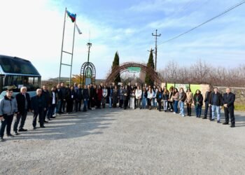 Şəkiyə mediatur təşkil olunub