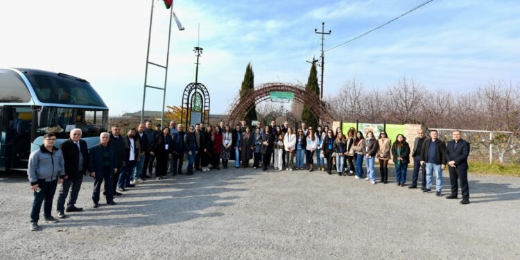Şəkiyə mediatur təşkil olunub