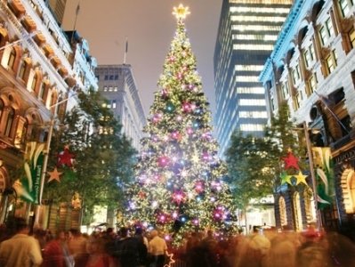 Sidneydə Milad tədbirləri ləğv edildi - SƏBƏB