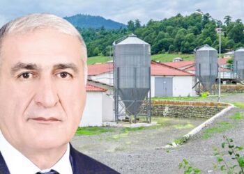 İqbal Məmmədovun “Lerik Broyler”i fəaliyyətini dayandırdı – SƏBƏB NƏDİR?