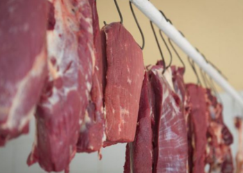 Somali əti Azərbaycanda satılırmı? – RƏSMİ