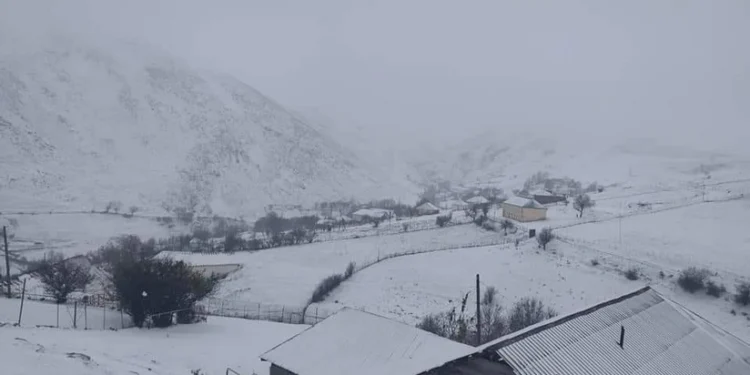 Lerikdə qarın hündürlüyü 1 metri keçib - FAKTİKİ HAVA