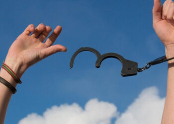 FHN-nin dələduzluqda ittiham olunan keçmiş inspektoru amnistiyaya düşdü