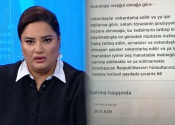 Bakıda sakin avaralıq etdiyinə görə cərimələndi – VİDEO