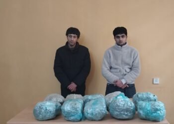 Narkotik vasitənin ölkə ərazisinə keçirilməsinin qarşısı alındı
