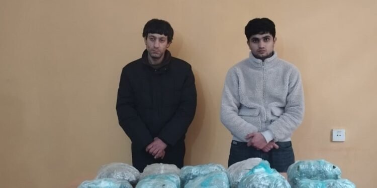 Narkotik vasitənin ölkə ərazisinə keçirilməsinin qarşısı alındı