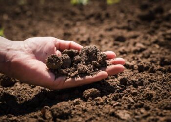 Torpaq sahiblərinə vacib xəbər: Sahələr pul qarşılığında alınacaq