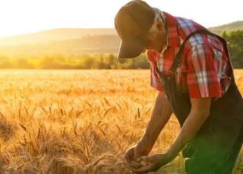 Bu şəxslərə ödənilən məbləğin yuxarı həddi artırıldı