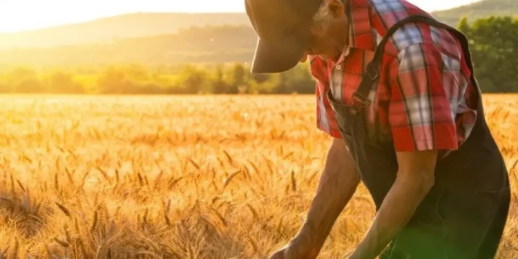 Bu şəxslərə ödənilən məbləğin yuxarı həddi artırıldı