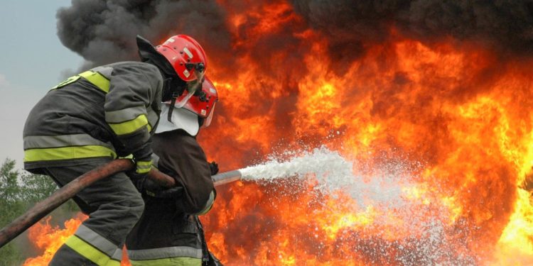 Bakıdakı güclü yanğını dövlət xidmətinin əməkdaşı törədib - Yüzlərlə ağac məhv olub