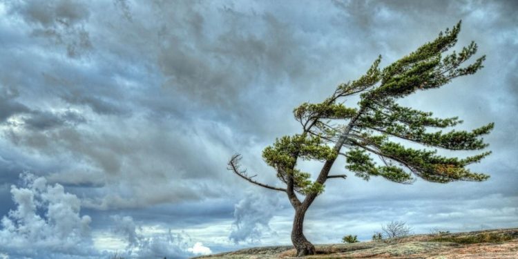 Bəzi yerlərdə külək güclənəcək - XƏBƏRDARLIQ