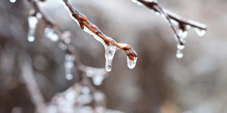 Hava kəskin DƏYİŞİR - 20 dərəcə şaxta olacaq