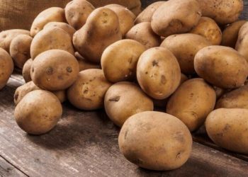 Azərbaycanda kartof bahalaşdı
