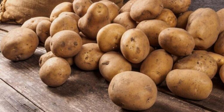 Azərbaycanda kartof bahalaşdı