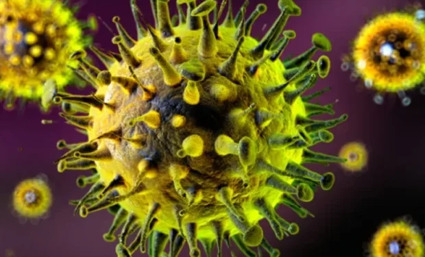 Təhlükəli virus gəlir – Koronavirusdan daha AĞIRDIR