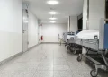 Göyçayda dəhşətli qətl: ər kafedə həyat yoldaşını öldürdü