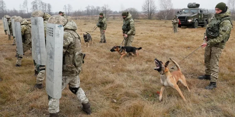 Ukrayna sərhədçiləri hantavirusdan ölüblər
